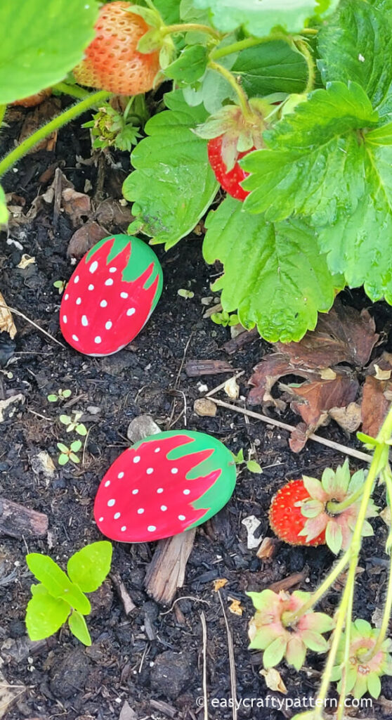 Painted rock in the strawberry garden.
