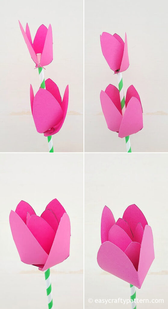 Double paper tulip petals.