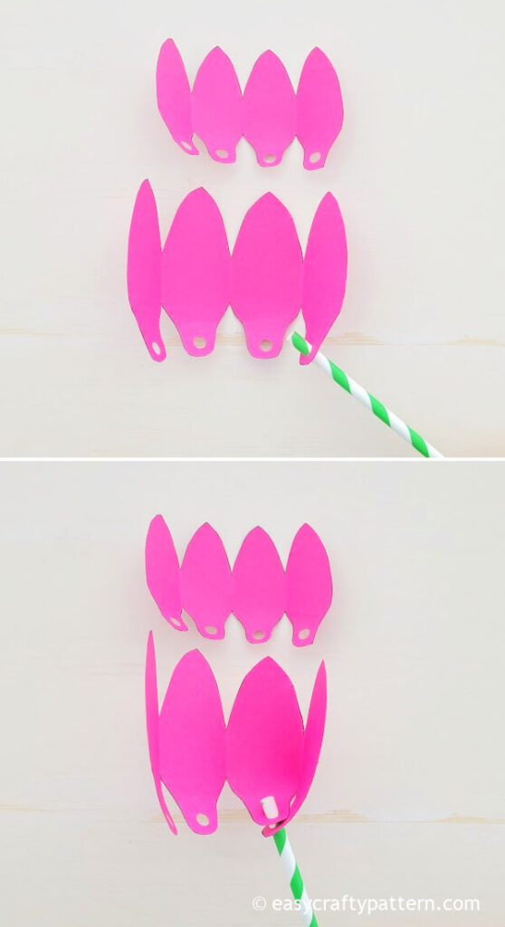 Paper straw and flower petal.